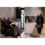 چنری Libas - Vol-521 Embroidered Suit with Multani Wool Shawl - Image 3
