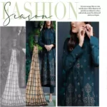 چنری Libas - DHANAK HEAVY EMBROIDERY CUTWORK LIBAS (VOL-521) - Image 3